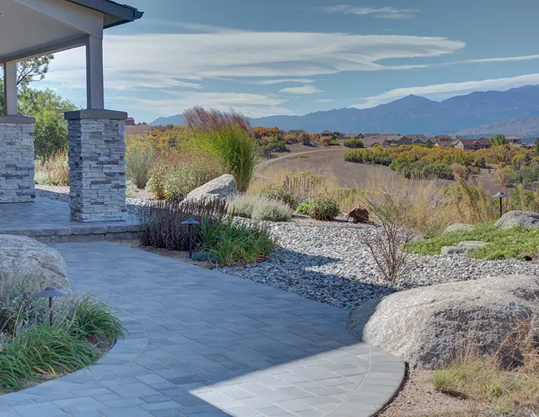 Sprinklers Inc Landscaping Backyard