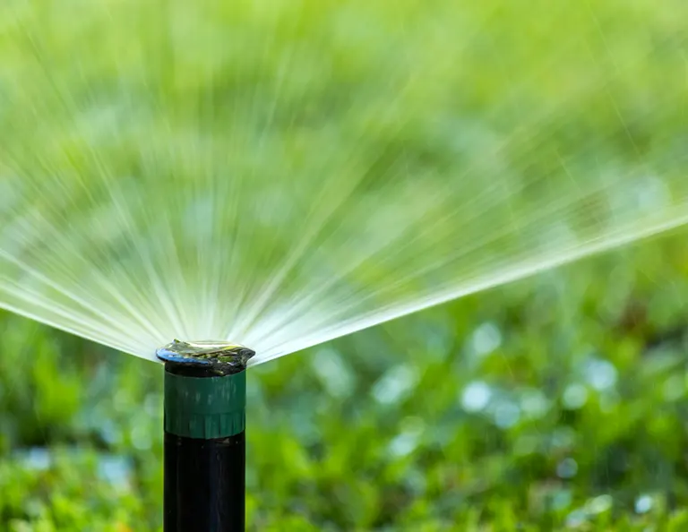 Sprinkler Blowout Image